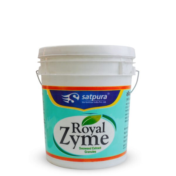 Royal Zyme Bucket
